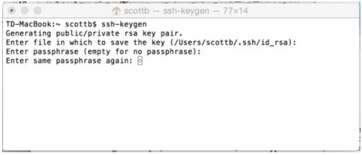 The terminal window after step 5