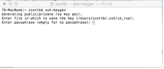 The terminal window after step 4