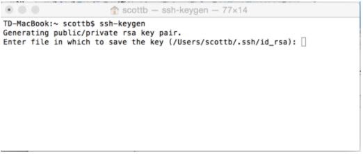 The terminal window after step 3